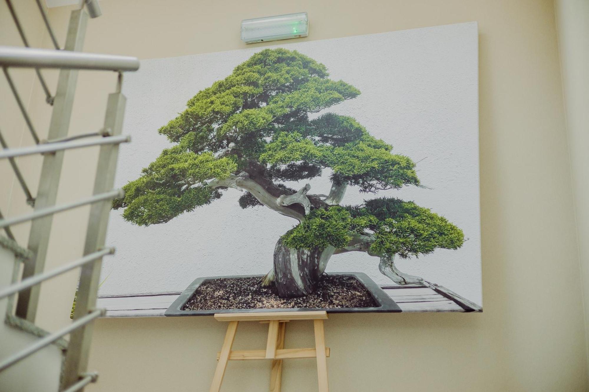 Hotel Bonsai Niemcza Esterno foto