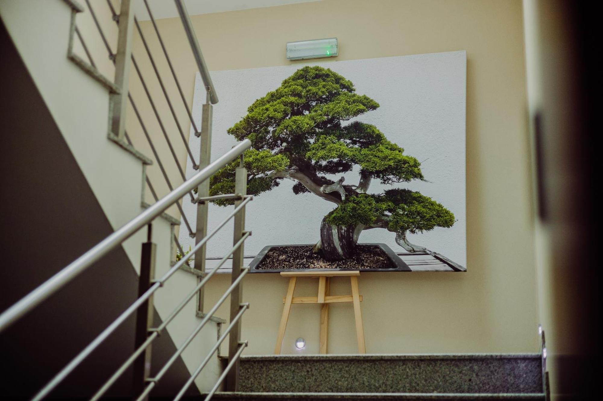 Hotel Bonsai Niemcza Esterno foto