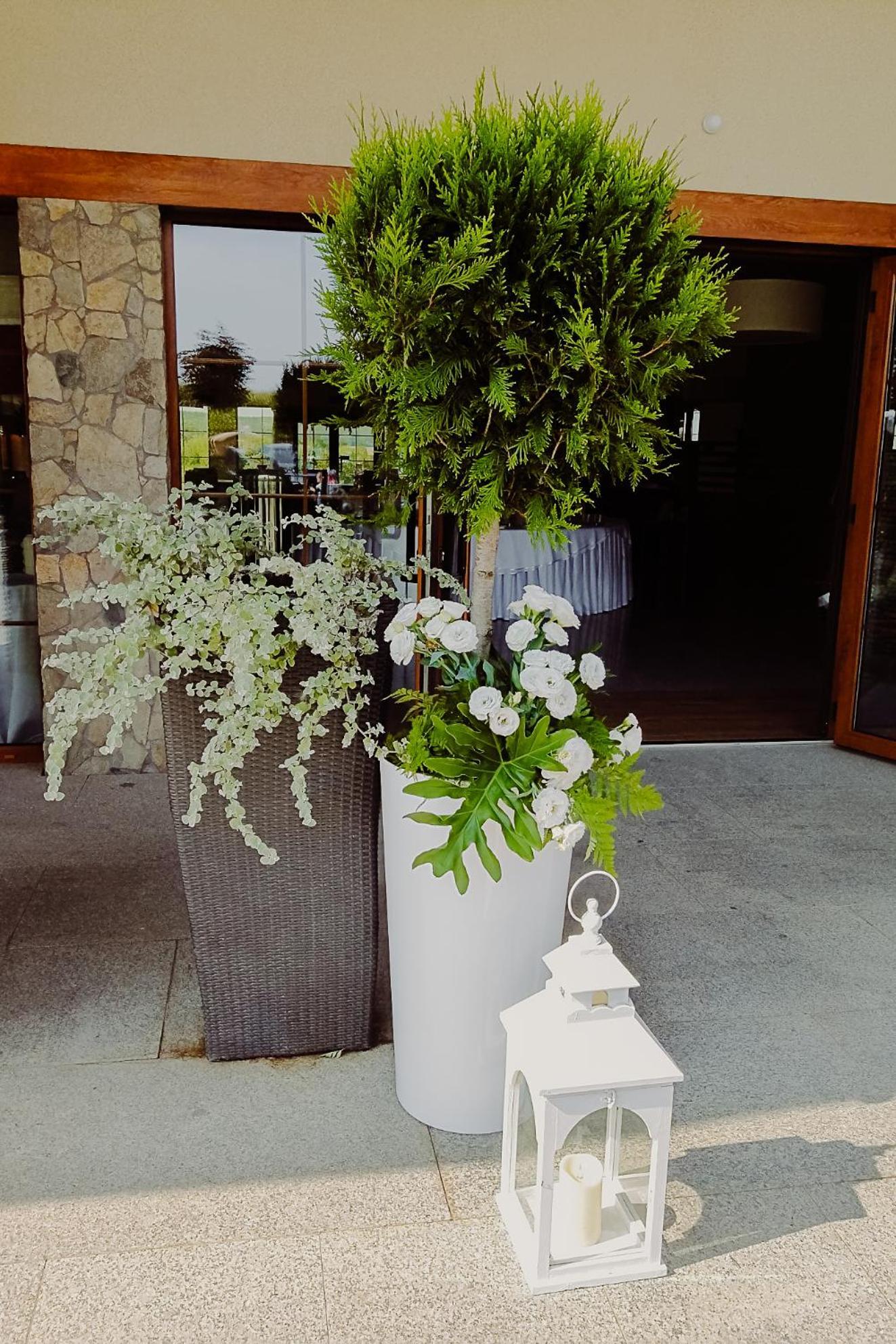Hotel Bonsai Niemcza Esterno foto